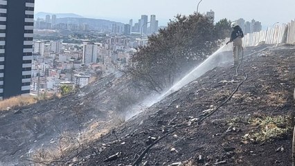 Kartal’da otluk alanda yangın