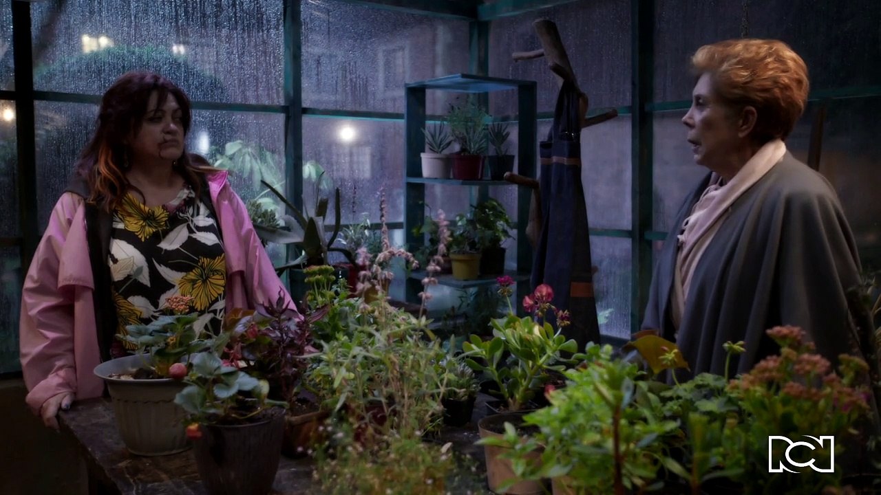 LA NIETA ELEGIDA - TRAILER