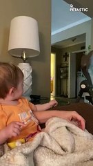 Adorable baby girl finds it hard to grab her pet squirrel   PETASTIC