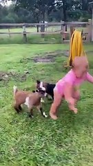 Cute and Funny Animals That Will Melt Your Heart   PETASTIC