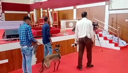 Tenth Convocation Ceremony