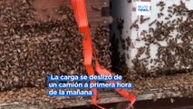 Cinco millones de abejas vuelan libres tras caer de un camión en Canadá