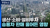 생산·소비·투자 '트리플 감소'...승용차 판매 큰 영향 / YTN