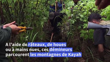 Râteaux, houes... avec les démineurs anti-junte de Birmanie