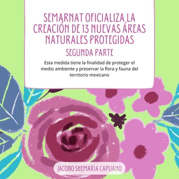 -Jacobo Shemaria Capuano- ¡Estas áreas forman parte del tratado! (parte 2)