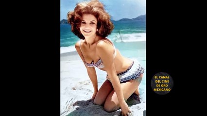 Aparece foto a color de Ana Luisa Peluffo en bikini en su juventud