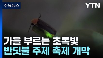 가을 부르는 찬란한 초록빛...무주 반딧불축제 개막 / YTN