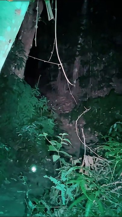 Paranormal activity ghost on camera part 221