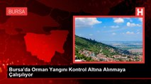 Bursa'da çıkan orman yangını kontrol altına alınmaya çalışılıyor