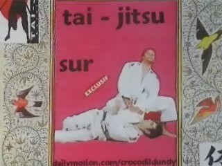 Randori self coupe fr tai jitsu  2008