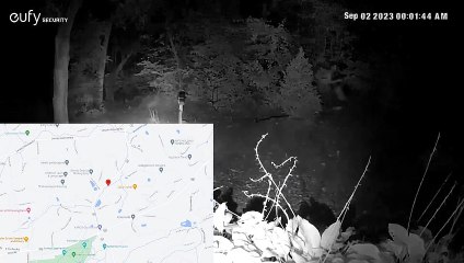 Brasileiro procurado nos EUA é visto a 2,4 km da prisão; veja