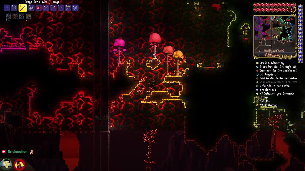 Über Elon Musk vs. Mark Zuckerberg | Terraria Let's Play 278