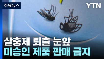 미승인 살생물 물질 살충제 퇴출 눈앞...현장은? / YTN