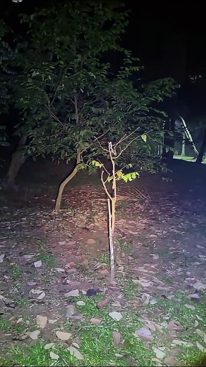 Paranormal activity ghost on camera part 225