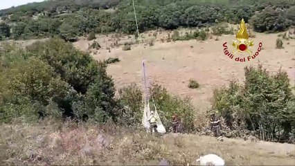 I vigili del fuoco impegnati nel recupero della mucca