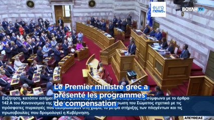 Le gouvernement grec présente son plan pour la préservation des forêts contre les incendies