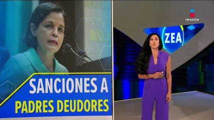 Partido Verde busca modificar las sanciones a deudores alimentarios