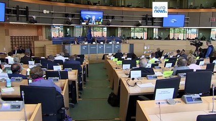 Las prohibiciones temporales sobre el grano ucraniano deben durar hasta finales de año, según el comisario europeo de Agricultura