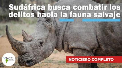 Sudáfrica busca combatir los delitos hacia la fauna salvaje | 582 | 04 al 10 de septiembre de 2023