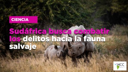 Sudáfrica busca combatir los delitos hacia la fauna salvaje