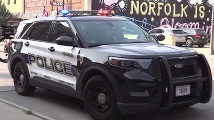 Motorista é parado e multado por transportar touro como passageiro