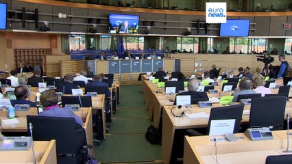 Per il commissario Ue all'Agricoltura, i divieti temporanei sul grano ucraino vanno prolungati fino alla fine dell'anno