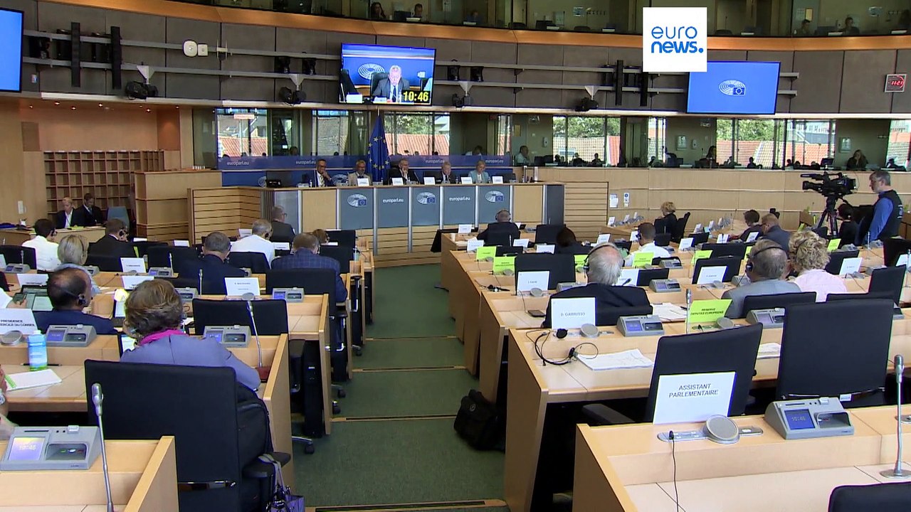 Per il commissario Ue all'Agricoltura, i divieti temporanei sul grano ucraino vanno prolungati fino alla fine dell'anno