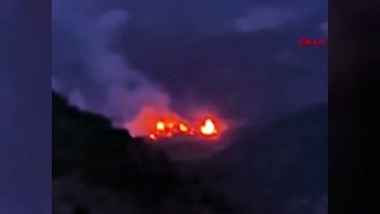 Un incendie s'est déclaré dans la forêt du quartier Laçin de ÇORUM