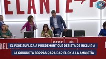 El PSOE suplica a Puigdemont que desista de incluir a la corrupta Borràs para dar el OK a la amnistía
