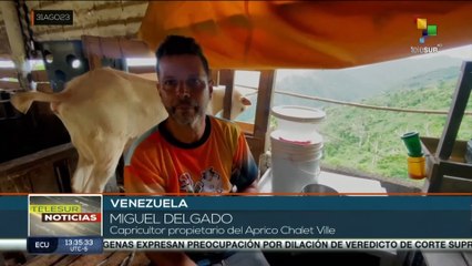 Venezuela: Destacan proceso de cría y ordeño de cabras en el país