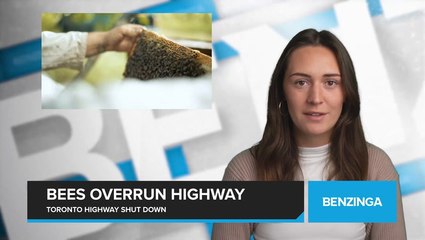 Millions of Bees Swarm Ontario Highway After Truck Accident