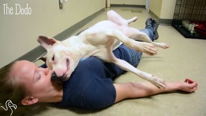 World's Happiest Dog Was Abandoned — But You'd Never Be Able Tell