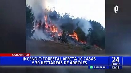Incendios forestales en Cajamarca arrasan 30 hectáreas y 10 viviendas