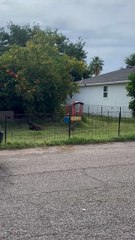 Un étrange animal repéré dans une cour