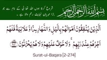 Surah Al-Baqarah | سورة البقرة | Surah 02 Ayat 274 | Surat-ul-Baqara | Quran With Urdu Translation  #surahalbaqarah #tilawat #quran #ayat #islam #religious #foryou