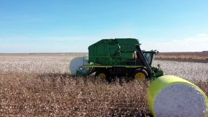 Major cotton station which unlawfully cleared land will face fines
