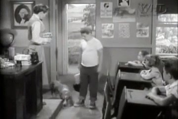 Lassie S02E05 - The School (1955)