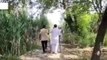 बागपत: तेंदुए ने हमला कर किसान को किया घायल, दहशत