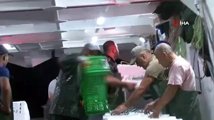 Premier poisson pêché de la nouvelle saison