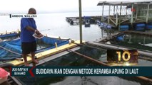 Lebih Menjanjikan, Puluhan Nelayan di Teluk Ambon Beralih ke Budidaya Ikan Metode Keramba Apung!