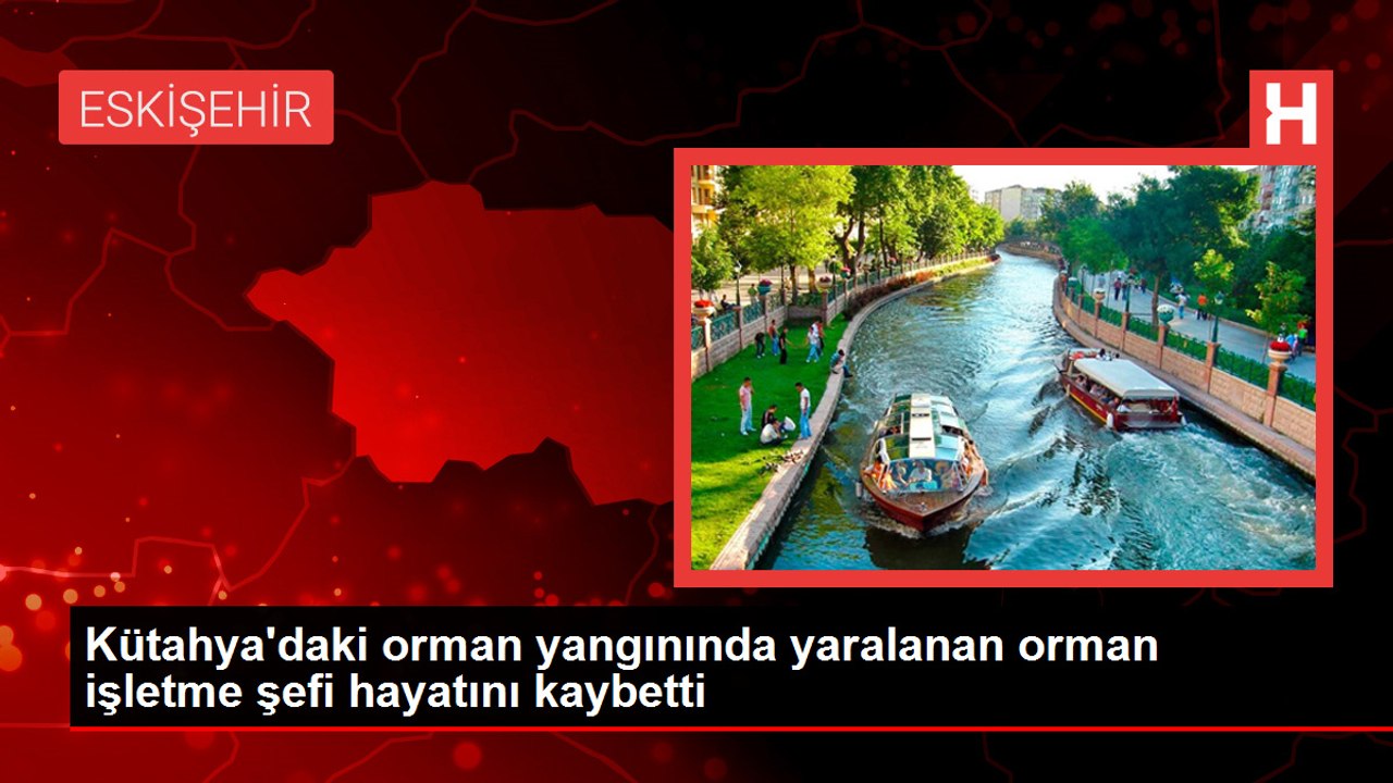 Kütahya'daki orman yangınında yaralanan orman işletme şefi hayatını kaybetti