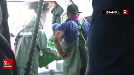 Av yasağı bitti, sezonun ilk balıkları avlandı