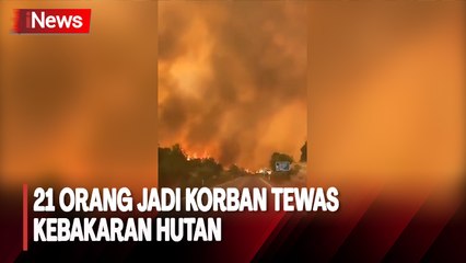2 Bulan Api Belum Padam, Yunani Kelabakan Atasi Kebakaran Hutan