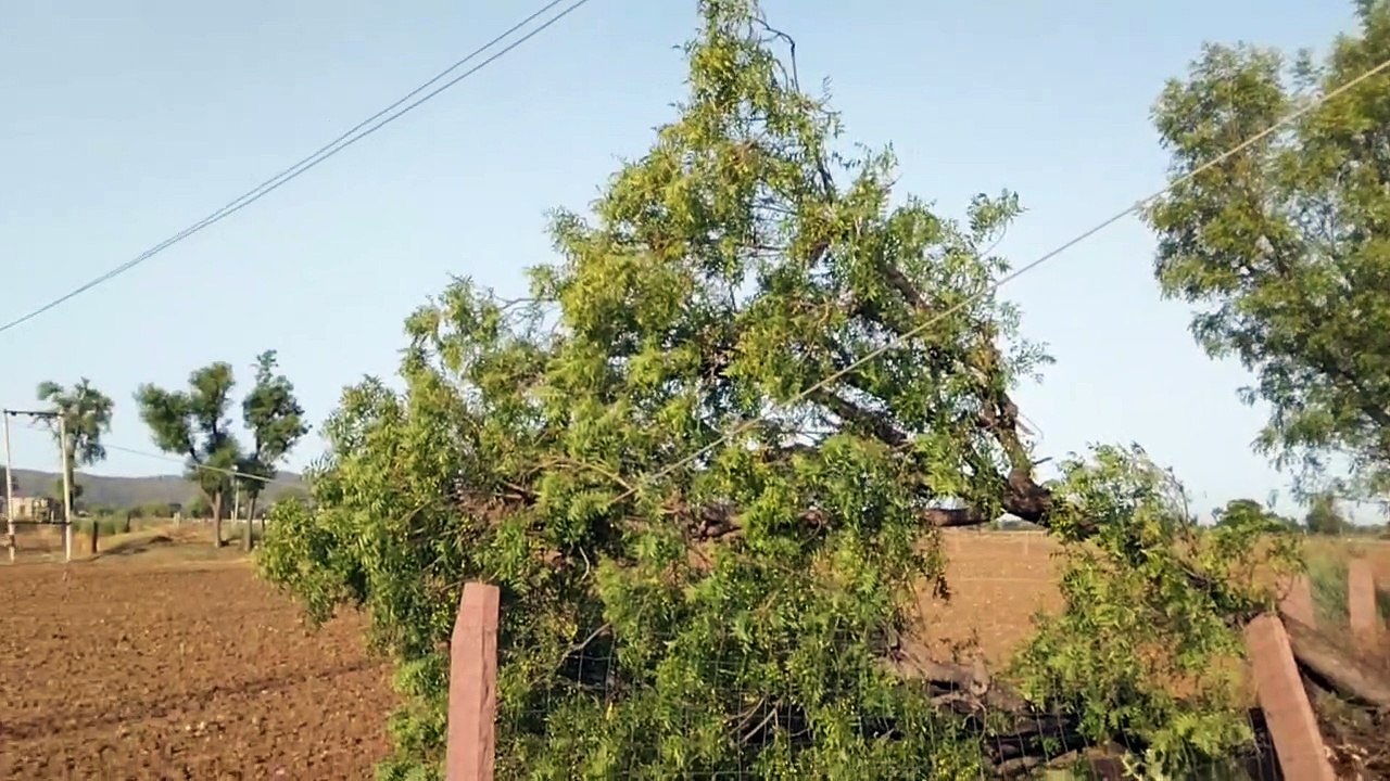 सितंबर में भी मानसून सक्रिय होने के कम आसार