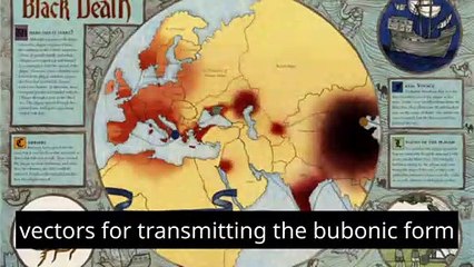 What Was the Primary Cause of the Black Death in the 14th Century