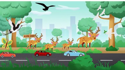 Video animasi - taman - hewan