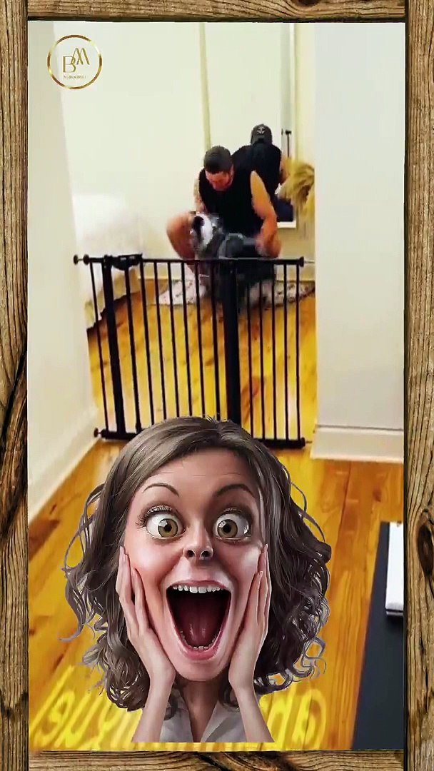 ⁣Funny Pets  25  Short
