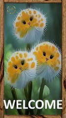 Funny pets  29  short