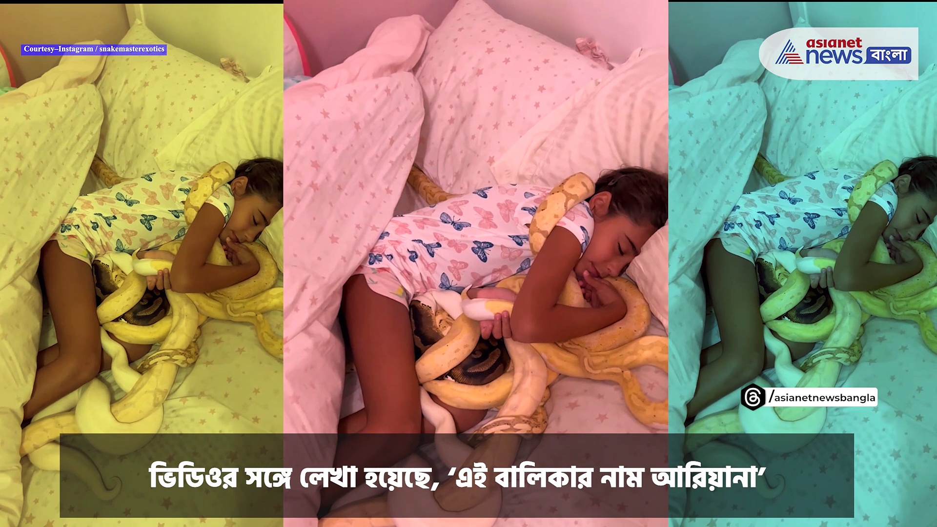 Viral Video : একপাল সাপ নিয়ে ঘুমোচ্ছে বালিকা! ভিডিও শোরগোল ফেলেছে সোশ্যাল মিডিয়ায়