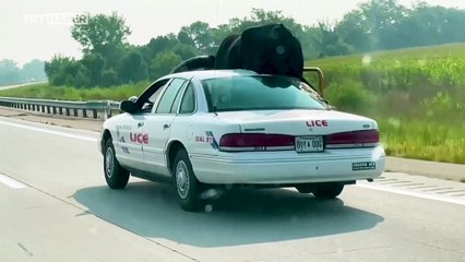 Ön koltukta seyahat eden devasa boynuzlu boğa polise yakalandı